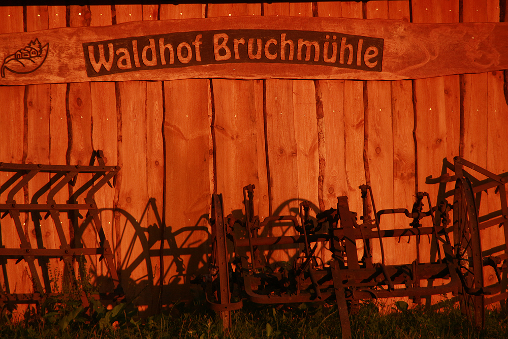 Bruchmühle,Waldhof, Morgenlicht